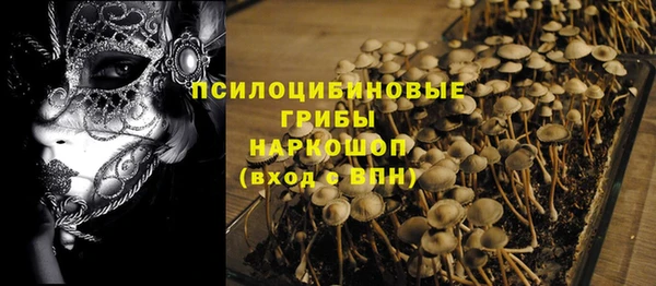 МДПВ Абаза