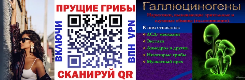 купить закладку Ак-Довурак Галлюциногенные грибы MAGIC MUSHROOMS